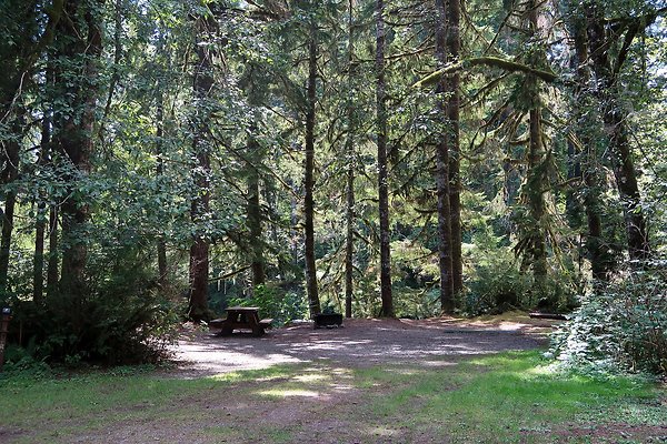 Swift Creek Campground Baker Lake 2025 - 51