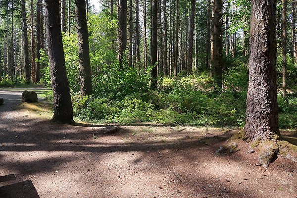 Horseshoe Cove Campground Baker Lake 2025 - 47
