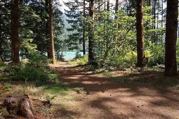 Horseshoe Cove Campground Baker Lake 2025 - 43