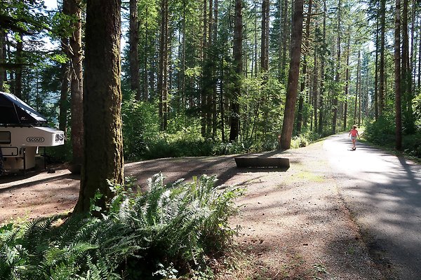 Horseshoe Cove Campground Baker Lake 2025 - 60