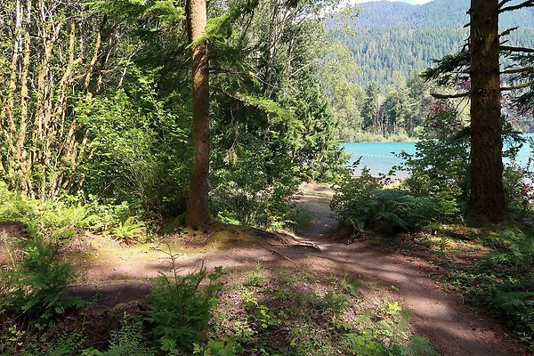 Horseshoe Cove Campground Baker Lake 2025 - 84
