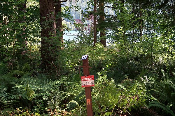 Horseshoe Cove Campground Baker Lake 2025 - 56