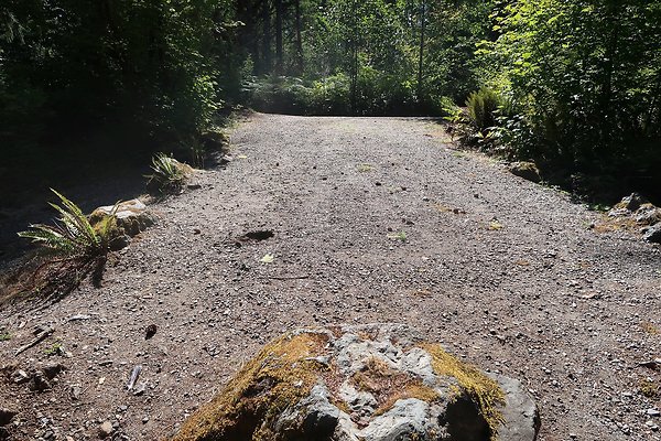 Horseshoe Cove Campground Baker Lake 2025 - 16