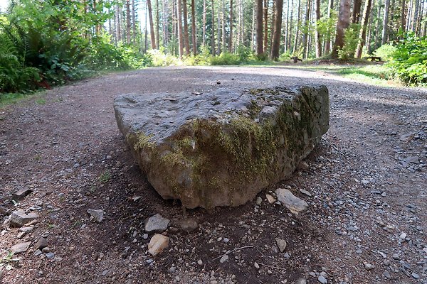 Horseshoe Cove Campground Baker Lake 2025 - 52