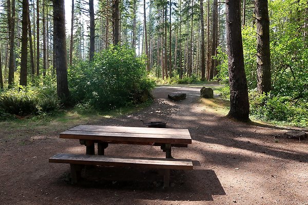 Horseshoe Cove Campground Baker Lake 2025 - 46