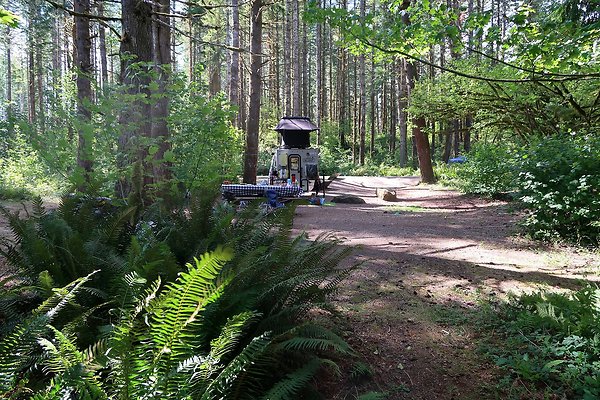Horseshoe Cove Campground Baker Lake 2025 - 89