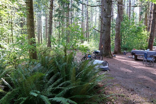 Horseshoe Cove Campground Baker Lake 2025 - 90