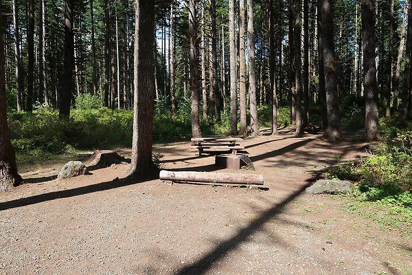Horseshoe Cove Campground Baker Lake 2025 - 35