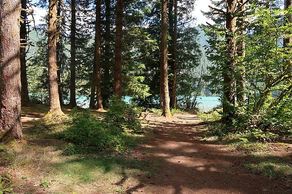 Horseshoe Cove Campground Baker Lake 2025 - 49