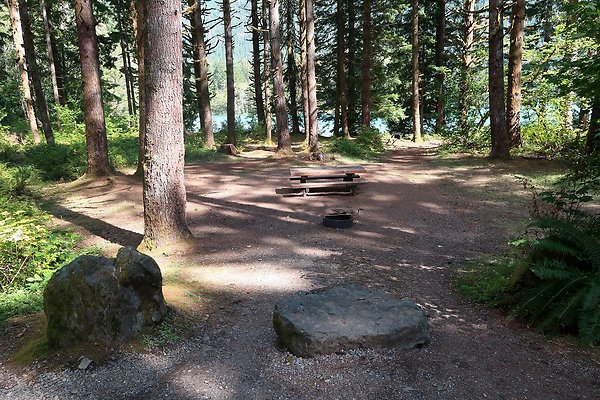 Horseshoe Cove Campground Baker Lake 2025 - 53