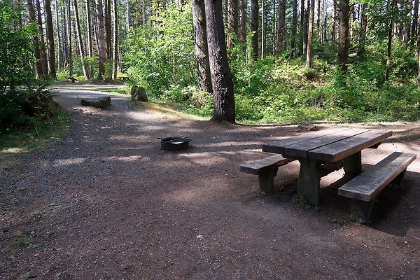 Horseshoe Cove Campground Baker Lake 2025 - 51