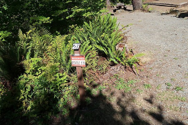 Horseshoe Cove Campground Baker Lake 2025 - 3