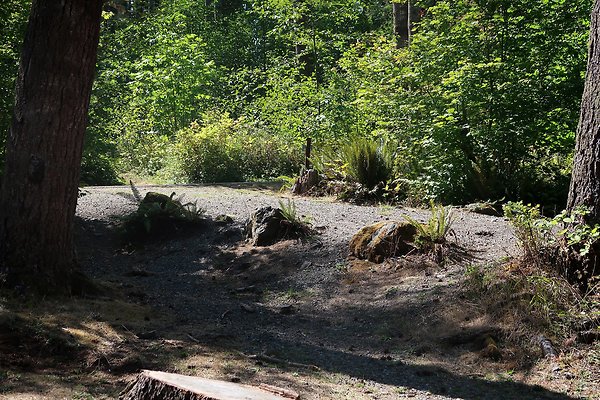 Horseshoe Cove Campground Baker Lake 2025 - 10