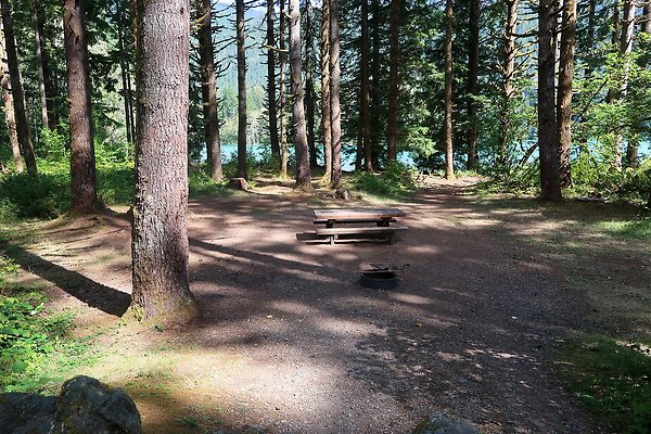Horseshoe Cove Campground Baker Lake 2025 - 42