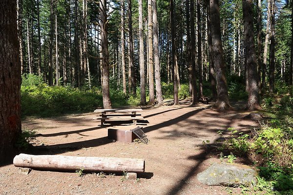 Horseshoe Cove Campground Baker Lake 2025 - 24