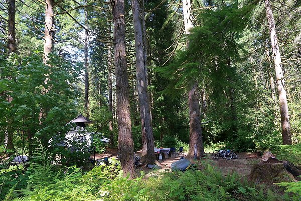 Horseshoe Cove Campground Baker Lake 2025 - 80
