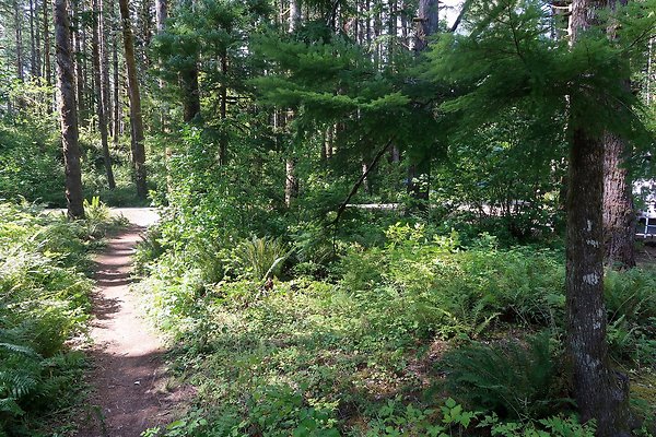 Horseshoe Cove Campground Baker Lake 2025 - 81