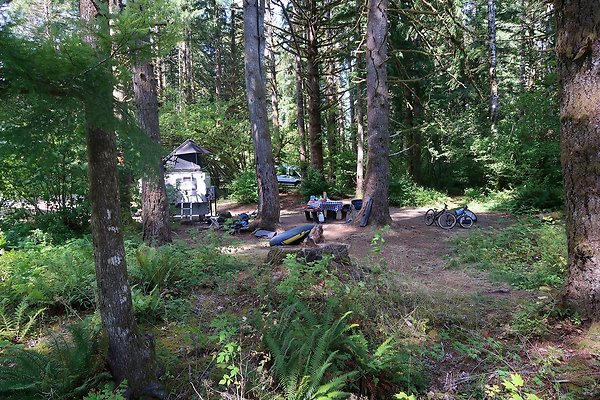 Horseshoe Cove Campground Baker Lake 2025 - 82