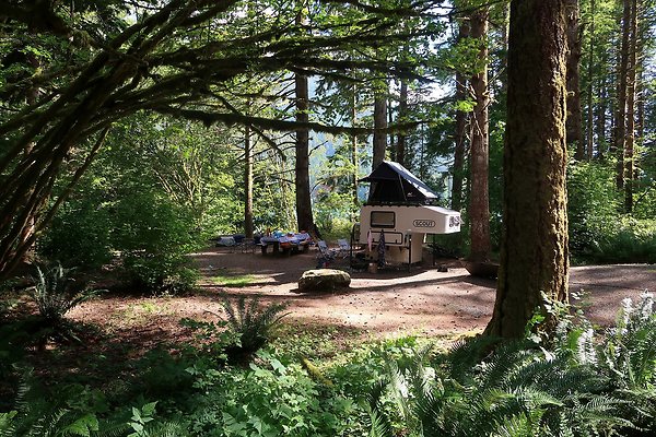 Horseshoe Cove Campground Baker Lake 2025 - 59