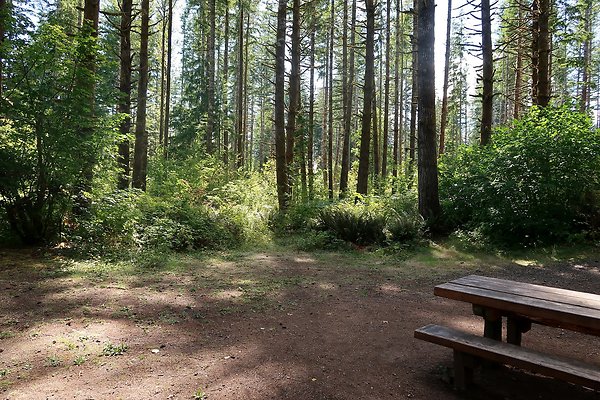 Horseshoe Cove Campground Baker Lake 2025 - 45