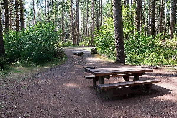 Horseshoe Cove Campground Baker Lake 2025 - 50