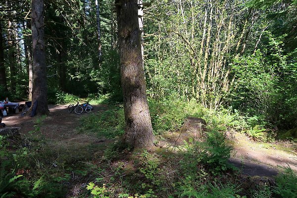 Horseshoe Cove Campground Baker Lake 2025 - 83