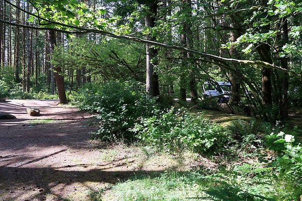 Horseshoe Cove Campground Baker Lake 2025 - 92
