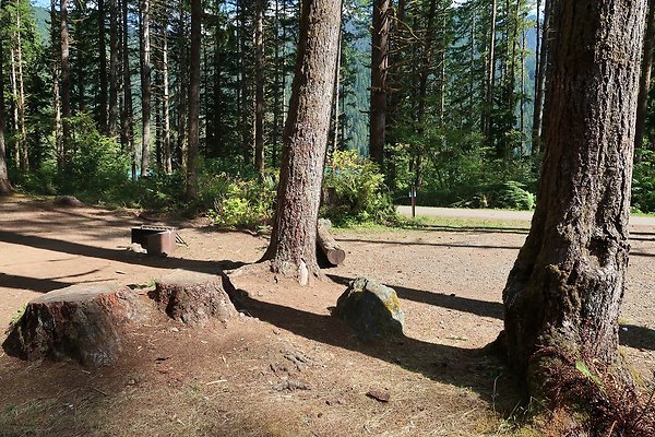 Horseshoe Cove Campground Baker Lake 2025 - 30