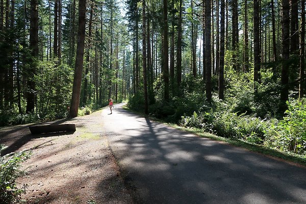 Horseshoe Cove Campground Baker Lake 2025 - 61
