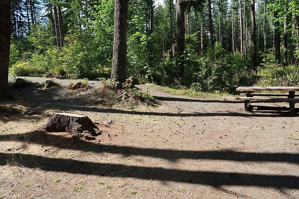 Horseshoe Cove Campground Baker Lake 2025 - 11