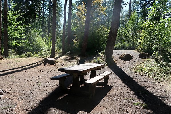 Horseshoe Cove Campground Baker Lake 2025 - 8