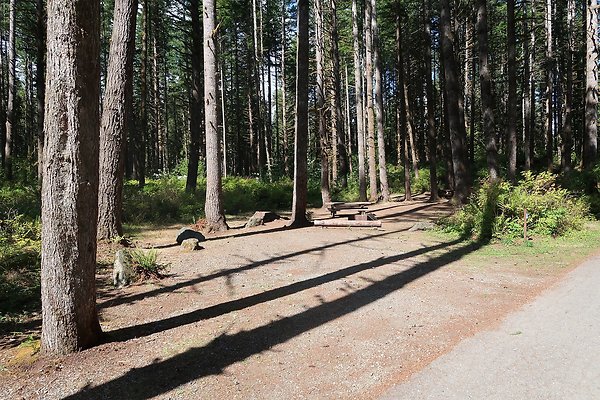 Horseshoe Cove Campground Baker Lake 2025 - 22