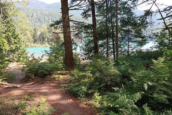 Horseshoe Cove Campground Baker Lake 2025 - 85