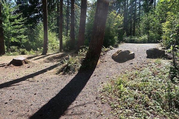 Horseshoe Cove Campground Baker Lake 2025 - 14