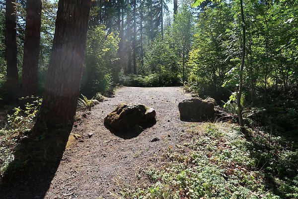 Horseshoe Cove Campground Baker Lake 2025 - 15