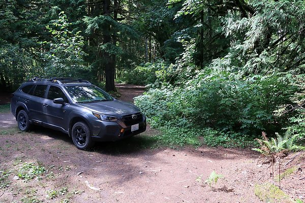 NF 1136 Road and Campground 2025 - 24