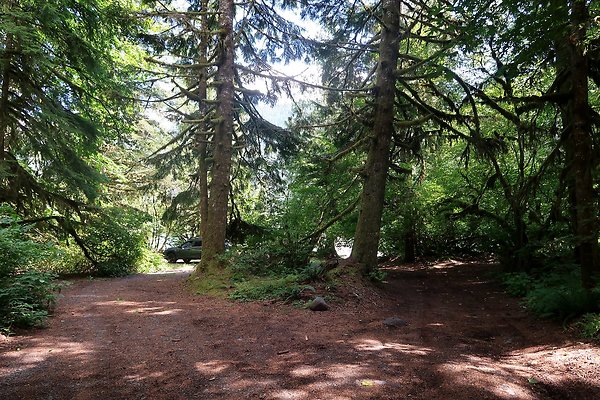 NF 1136 Road and Campground 2025 - 8