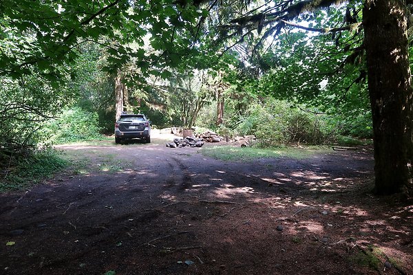 NF 1136 Road and Campground 2025 - 28