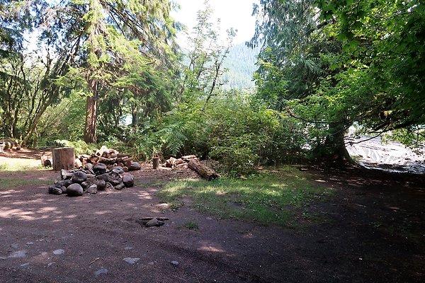 NF 1136 Road and Campground 2025 - 16