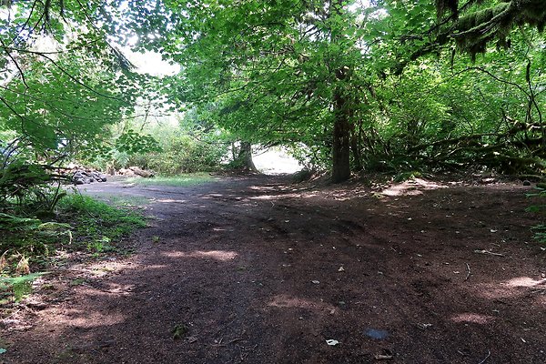 NF 1136 Road and Campground 2025 - 12