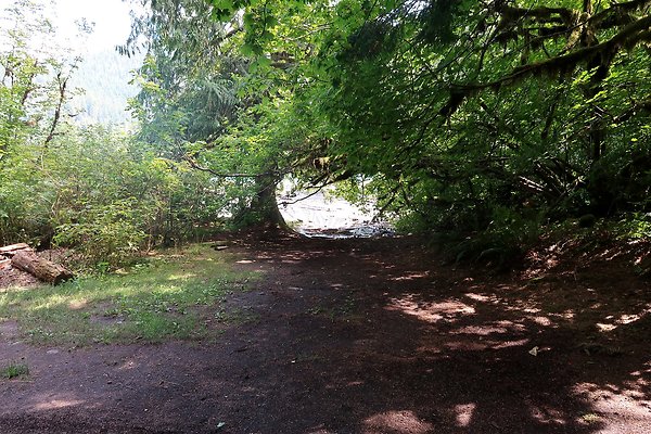 NF 1136 Road and Campground 2025 - 17