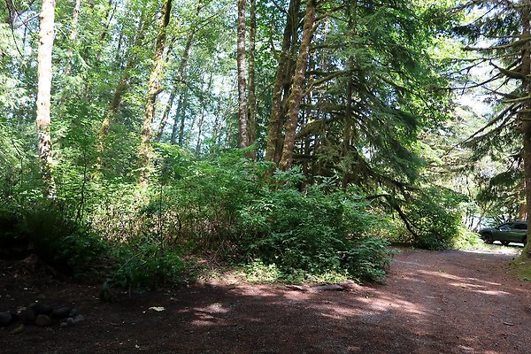 NF 1136 Road and Campground 2025 - 7