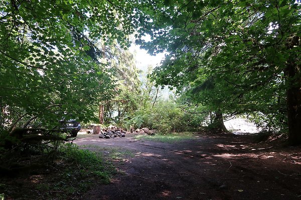 NF 1136 Road and Campground 2025 - 13