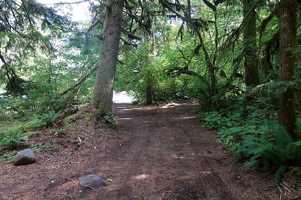 NF 1136 Road and Campground 2025 - 10