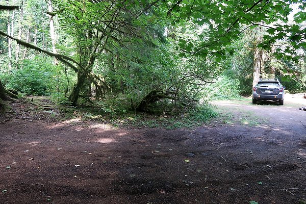 NF 1136 Road and Campground 2025 - 27