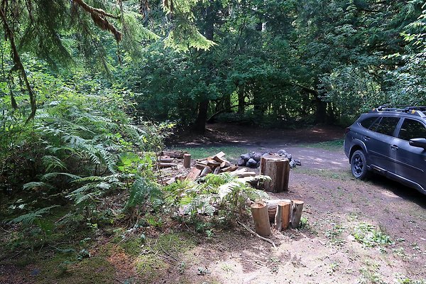 NF 1136 Road and Campground 2025 - 22