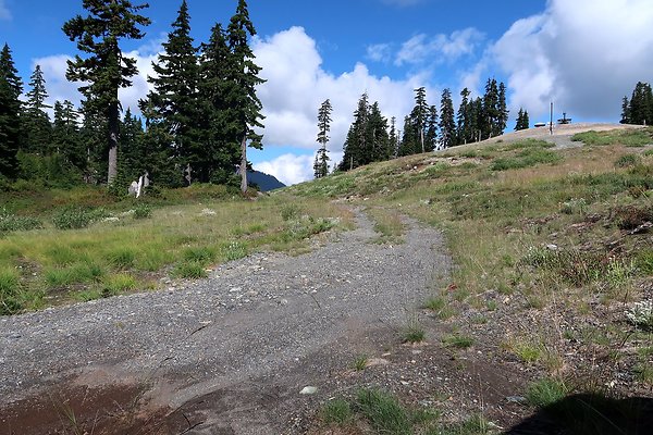 Mt Baker Ski Area Chair 7 Road - 56