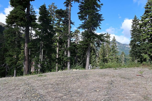 Mt Baker Ski Area Chair 7 Road - 46