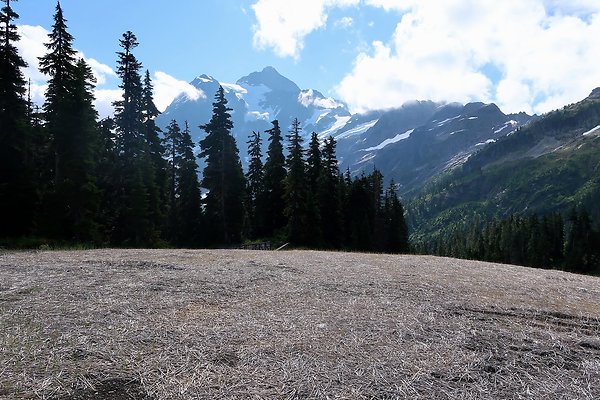 Mt Baker Ski Area Chair 7 Road - 42