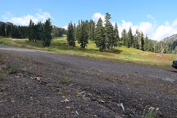 Mt Baker Ski Area Chair 7 Road - 20